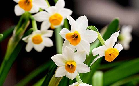 ٝ��ˮ�ɻ�������3ƪ