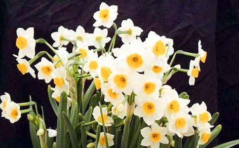 �Ґ���ˮ�ɻ����ķ���