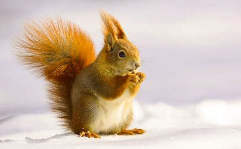 ����(sh��)�á���������300����ƪ