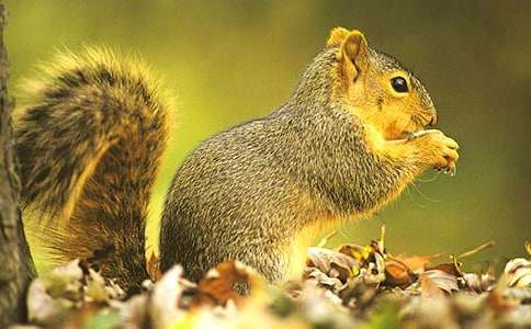 ����Ʒ����������300��39ƪ