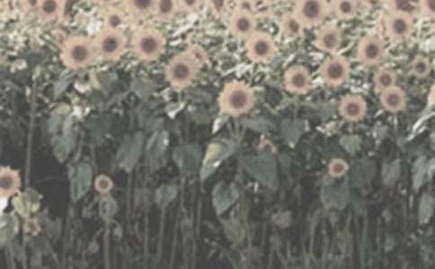 ̫ꖻ�����200��