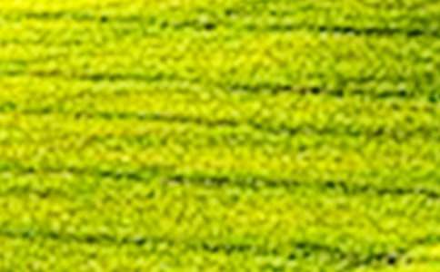 ��ˣ��Ұ����