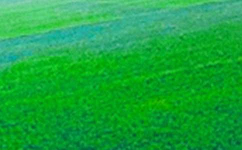 ��Ұ����400����ƪ