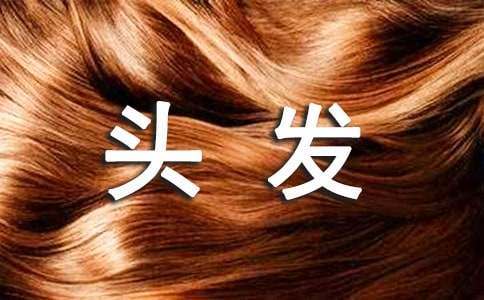 頭發(fā)的自述作文600字