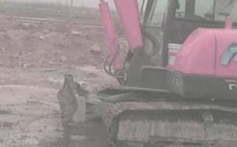 �ھ�C(j��)��ͬ