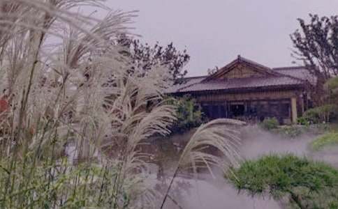 �ݜ�Ȫ����500��