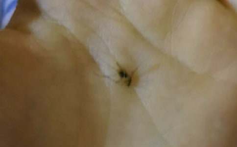 ���؂䡿��������600����ƪ