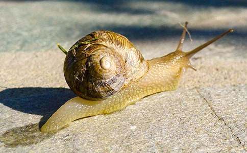 �茑(xi��)�^��΁ţ��������ƪ