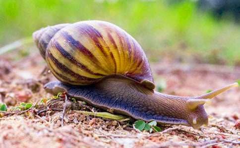 ΁ţ400������5ƪ