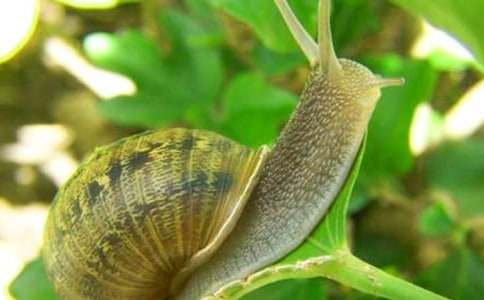 ΁ţ�^����ӛ200��