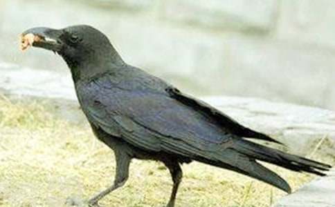 ���f��ˮ���ģ����x41ƪ��