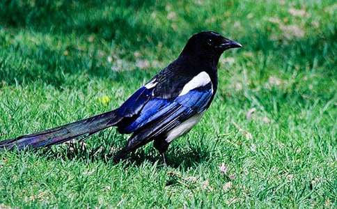 ���P(gu��n)ϲ�o����300��3ƪ