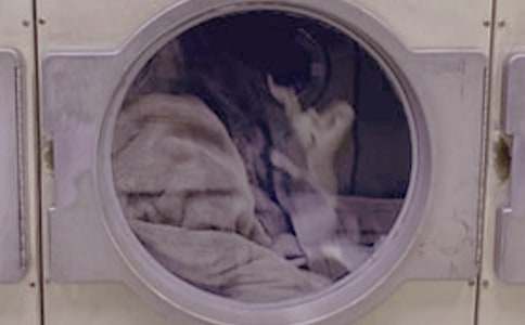 �͋���ϴ�·�����300��