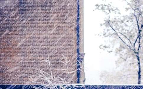 下雪作文(精選35篇)