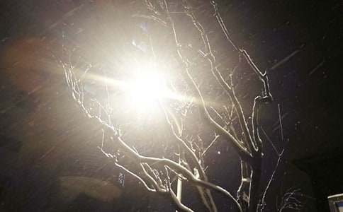 關(guān)于下雪作文(通用28篇)