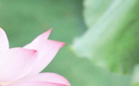 《夏至未至》片尾曲的歌詞