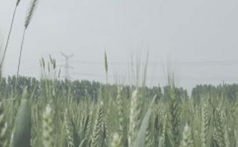 �茑С�����������