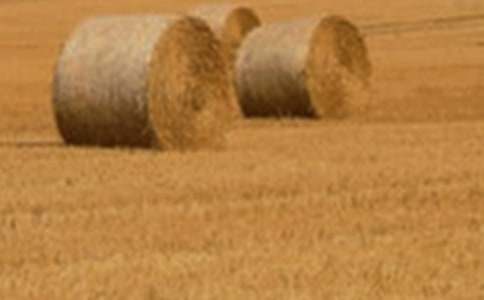 С������600��3ƪ