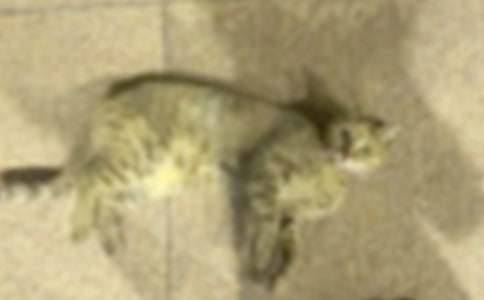 С؈�I(m��i)������