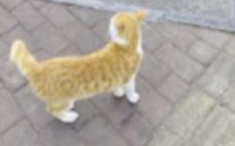 �P��С؈����500���\����ƪ