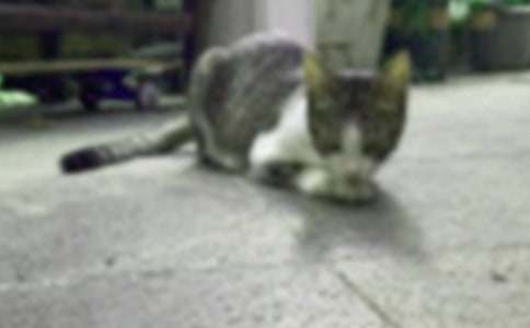 С؈������500�֣�ͨ��23ƪ��