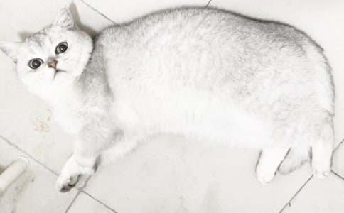 �ɐ�(��i)��С؈��500�փ�(y��u)������