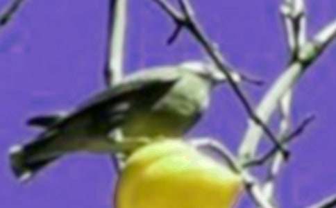 ׃��С�B����600�֣����x20ƪ��