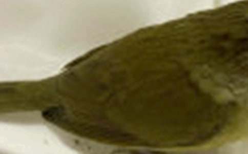 С�B(ni��o)����400�֣�ͨ��19ƪ��