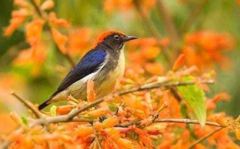 ��׃����С�B(ni��o)