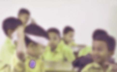 �ΰ������(zh��n)500��С�W(xu��)�����ģ�ͨ��16ƪ��