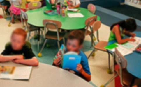 小學(xué)生寫昆蟲的作文