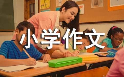 暢想未來小學(xué)作文【熱門】