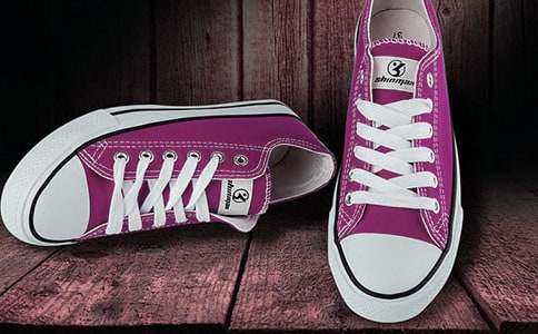 關(guān)于鞋子作文1000字