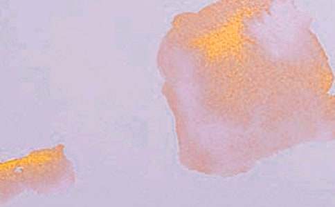 �P(gu��n)�ڌW(xu��)��(x��)ˇ�g(sh��)������800�֣����x18ƪ��