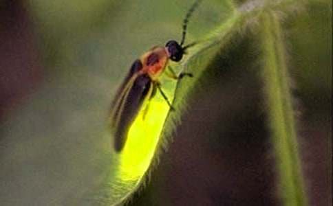 С�W(xu��)��׽Ξ���x�����ģ����x15ƪ��