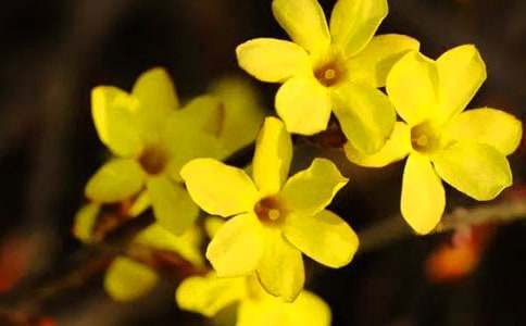 ӭ��������400�֣�ͨ��67ƪ��