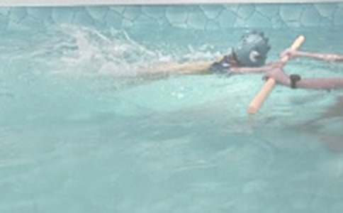 �W(xu��)��Ӿ�Ę�Ȥ����500��