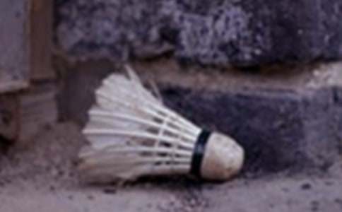 �Ǵ���ë���ِ���꼉����500��