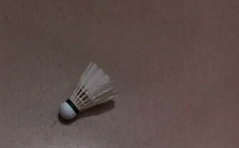 �P�ڴ���ë�������500��