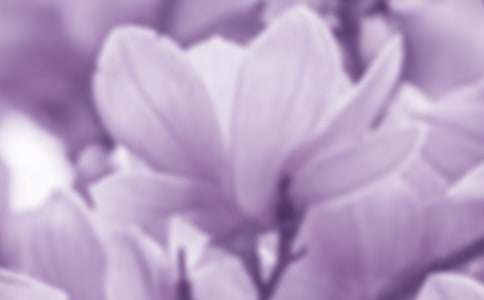 �V���m���_(k��i)����400�֣�ͨ��13ƪ��