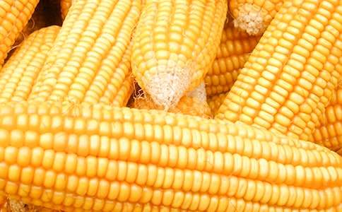 �I(m��i)����С�W(xu��)������400��