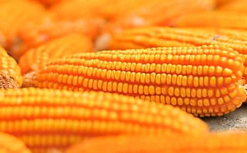 �����װ�������600��