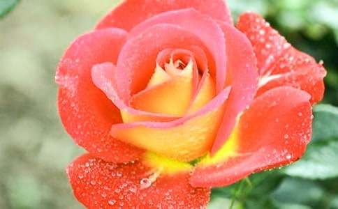 �Ґ�(��i)�¼���200������