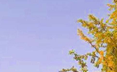 �簲��ů�����ü��Z(y��)