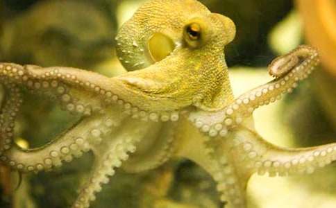 ����ӛ�����~��������800��