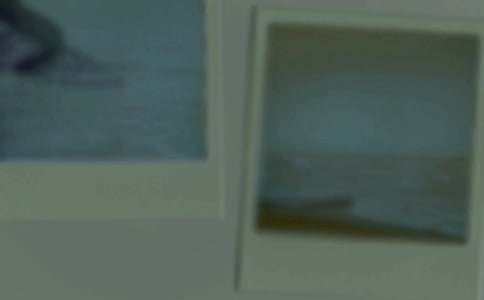 我家的一張照片作文1000字