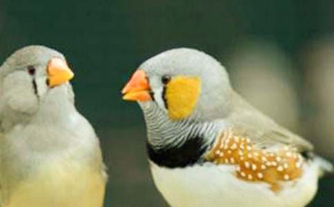 �x�������B���и�����500�֣�ͨ��31ƪ��