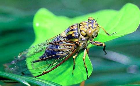 ���P(gu��n)֪������600�֣�ͨ��38ƪ��