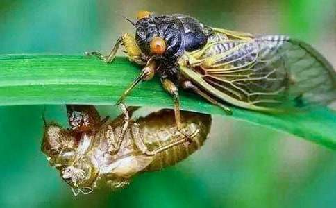 ֪�ˌW(xu��)�w����400�֣����x30ƪ��