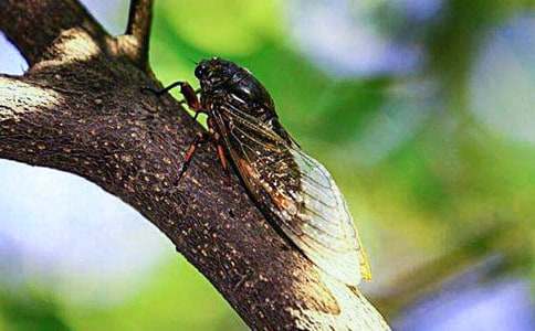 ֪������600����ƪ